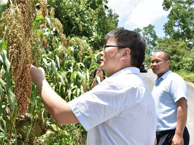 茅台高(gāo)管繼續赴基層調研，重點關注這些(xiē)方面