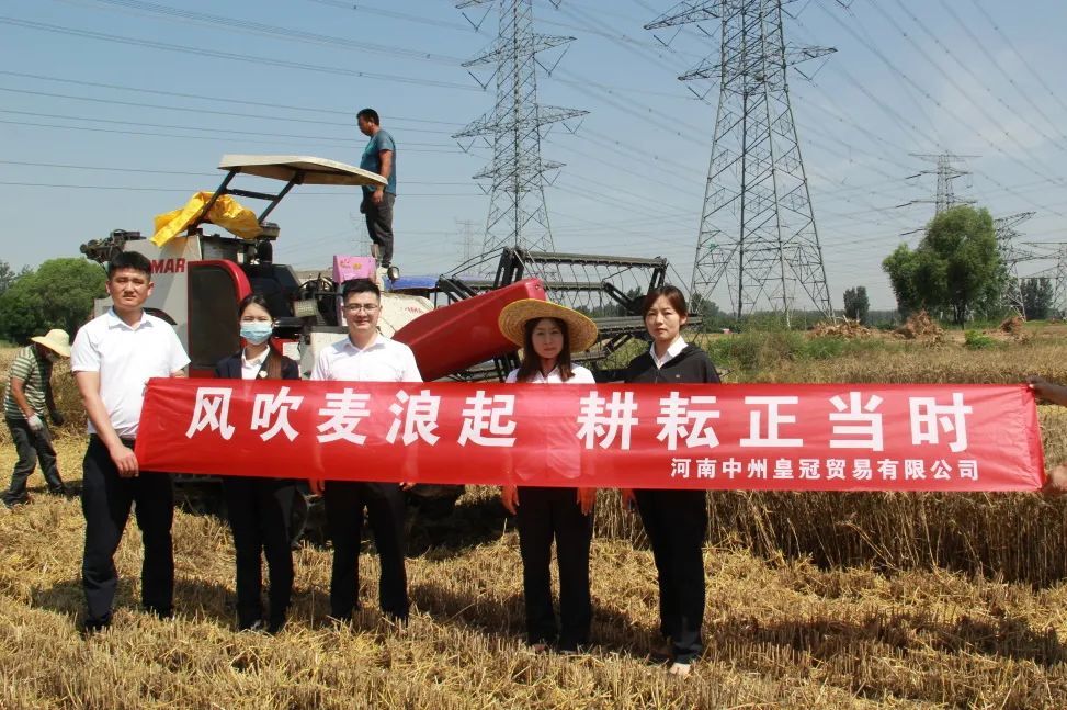 風吹麥浪起 耕耘正當時(shí)丨中州皇冠貿易開(kāi)展芒種節氣主題活動