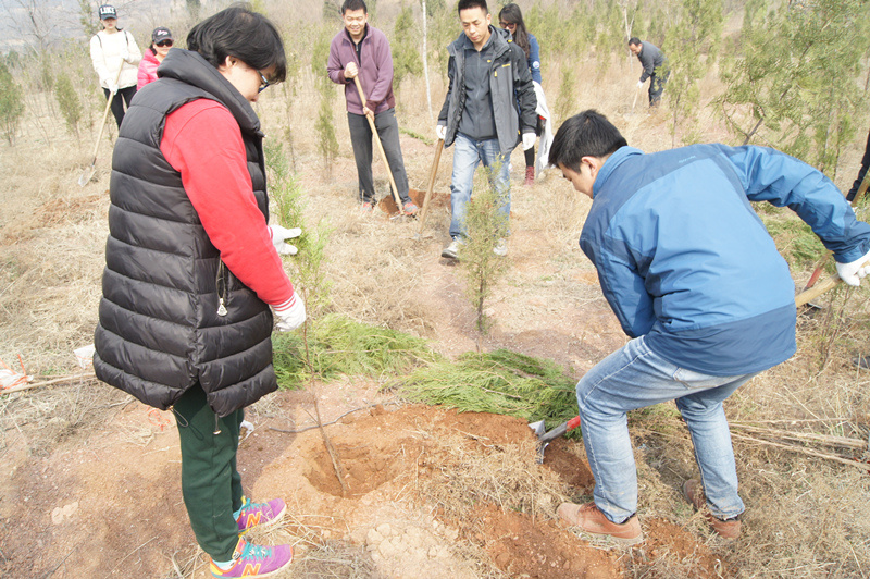公司黨支部參加由鄭州市綠化委組織的義務植樹(shù)活動