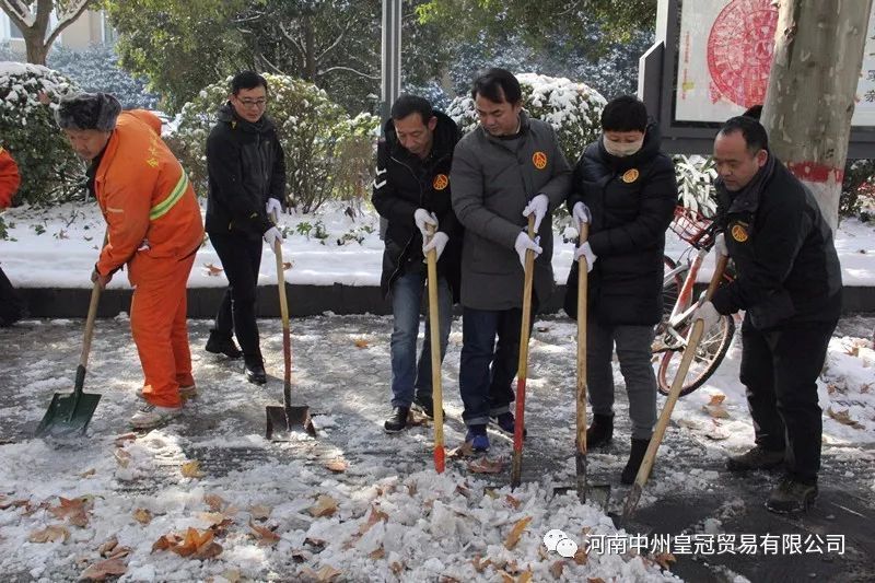 支部公益助力環衛丨全員合力清積雪，天冷情暖保暢通(tōng)